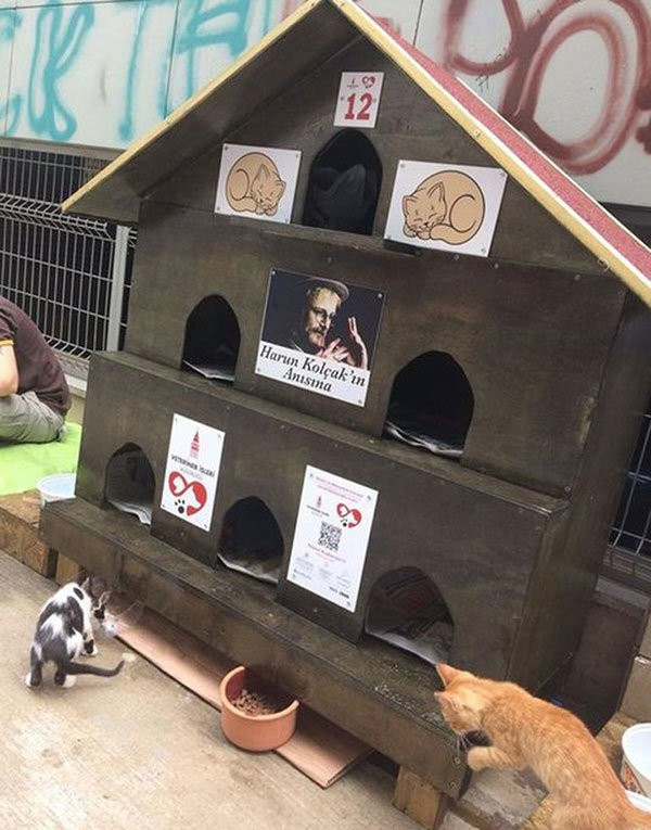 Harun Kolçak'ın vasiyeti gerçekleşti - Resim: 3