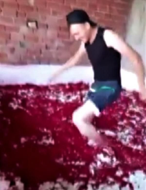 Çıplak ayakla salça havuzuna girmişti! Balıkesir'deki işletmenin faaliyeti durduruldu - Resim: 2