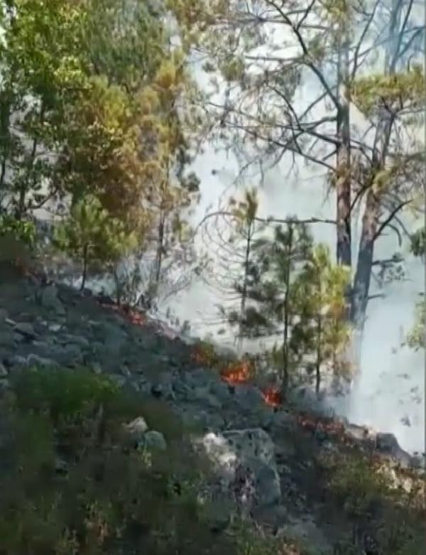 Bursa'da orman yangını! Müdahale sürüyor - Resim: 0