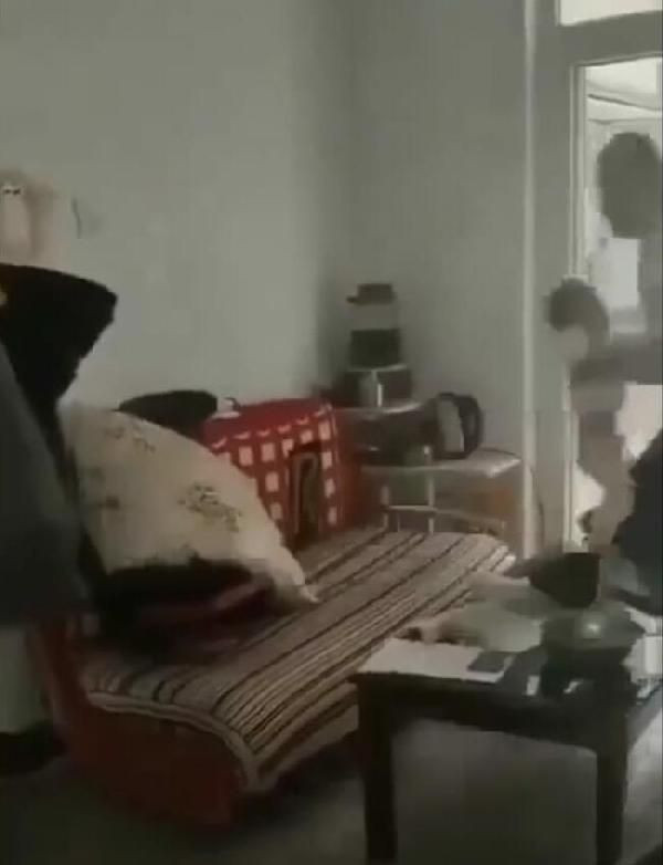 Samsun'dan dehşete düşüren görüntüler! Çocuğunu havaya kaldırıp çekyata fırlattı - Resim: 2