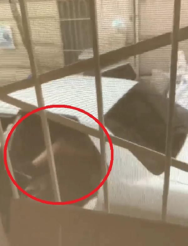 Bursa'da İrem'i kaçırarak fuhşa zorladığı iddia edilen çift, adliyede - Resim: 2