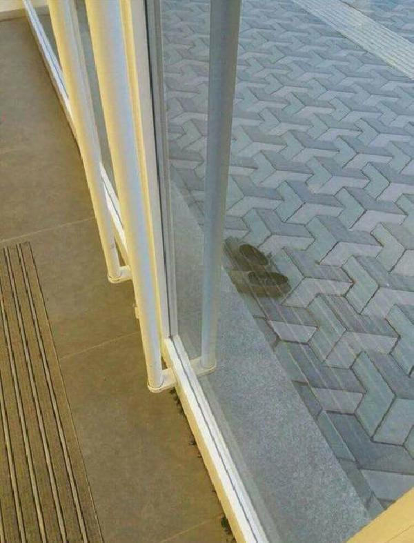 Türkiye onu arıyor? Bankaya çamurlu ayakkabılarını çıkarıp giren kadın - Resim: 4