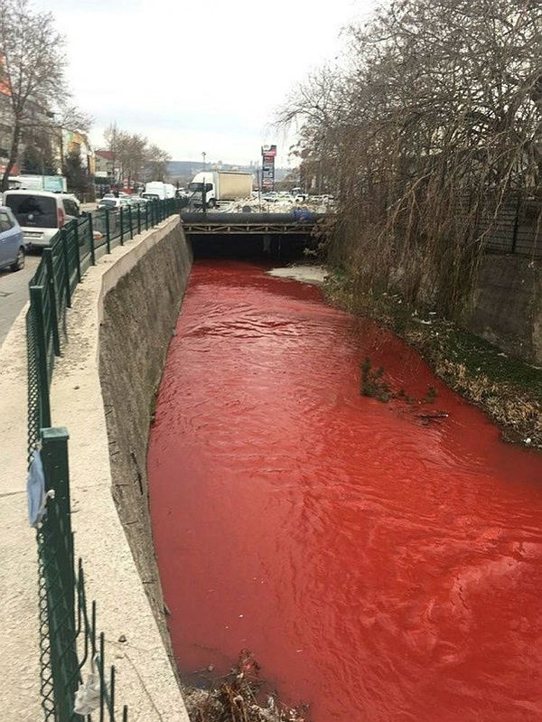 Görüntü tedirgin etmişti! Ankara Çayı'nın kırmızı renkte akmasının nedeni belli oldu - Resim: 0