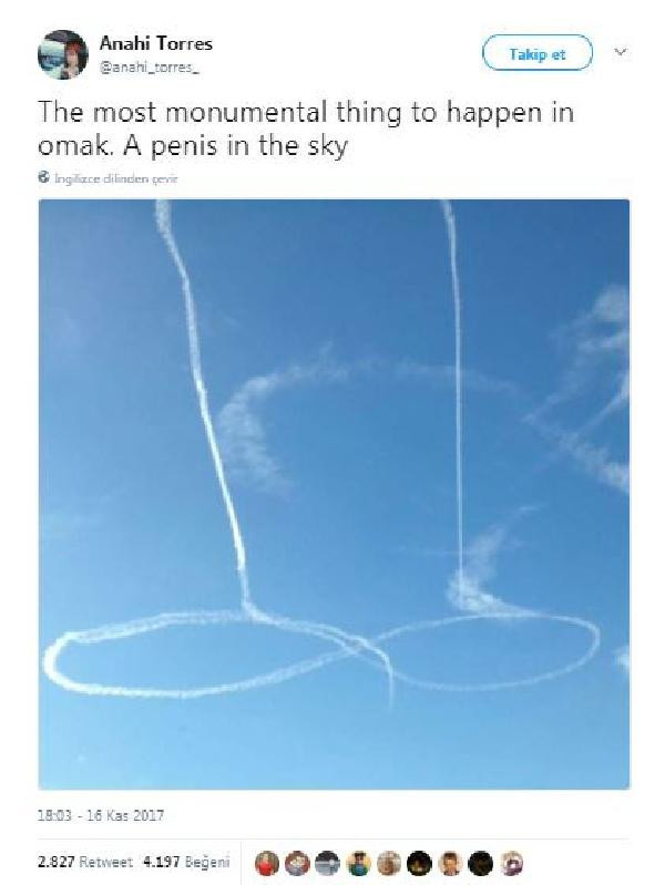 Bunun adı rezalet! Gökyüzüne penis çizdiler - Resim: 3