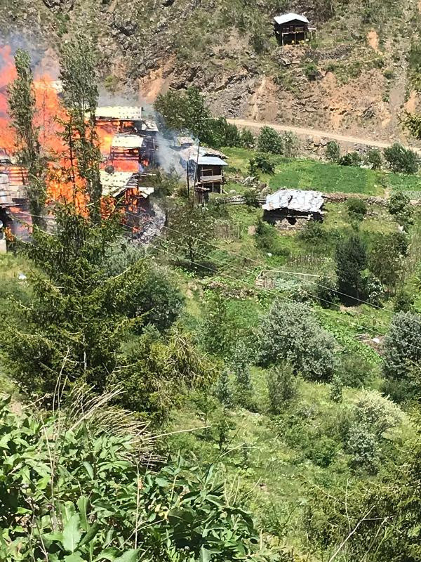 Gelibolu'dan sonra şimdi de Artvin cayır cayır yandı! - Resim: 0