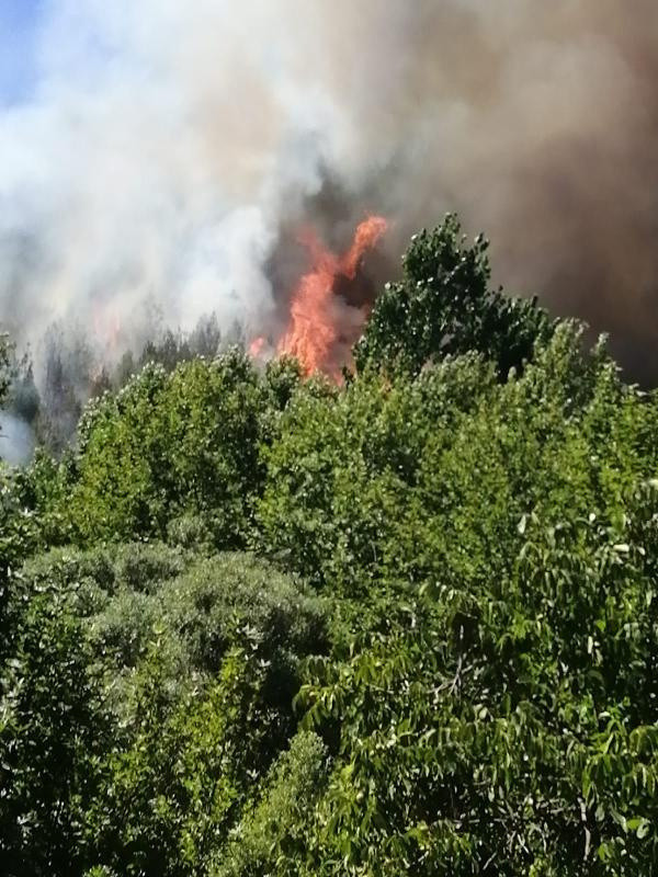 Kahramanmaraş'ta orman yangını - Resim: 0