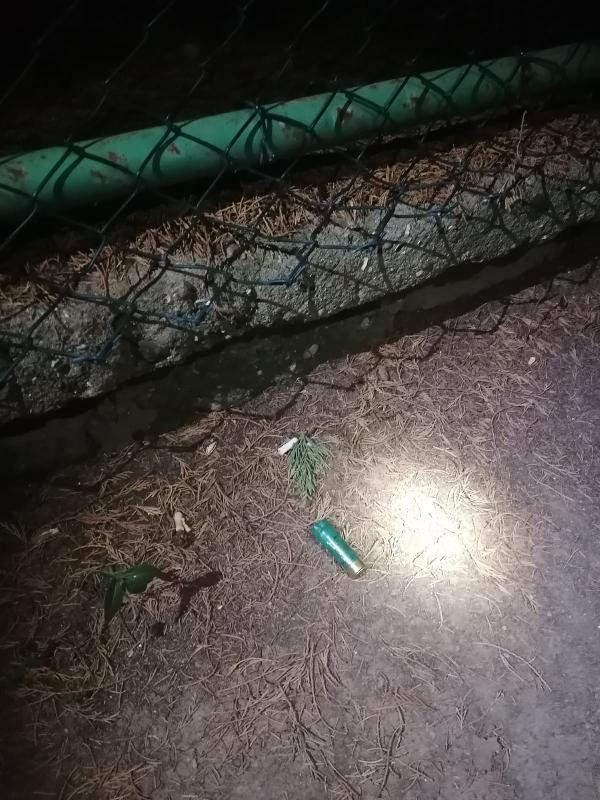 Maltepe'de parkta tartıştığı arkadaşını pompalı tüfekle vurarak öldürdü - Resim: 0