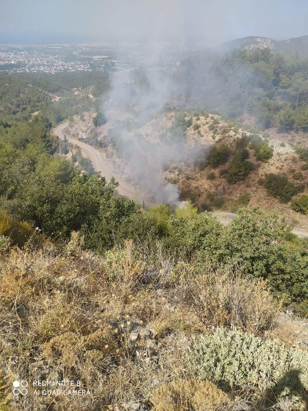 Hatay'da ormanı 8 noktadan ateşe veren şüpheli tutuklandı - Resim: 0