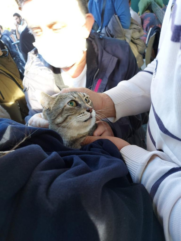 İzmir'de saatler sonra mucize kurtuluş! İşte enkazdan kurtarılma anı - Resim: 0