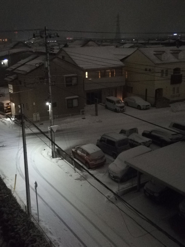 Kar Japonya'yı esaret altına aldı! Çok sayıda ölü ve yaralı var - Resim: 0