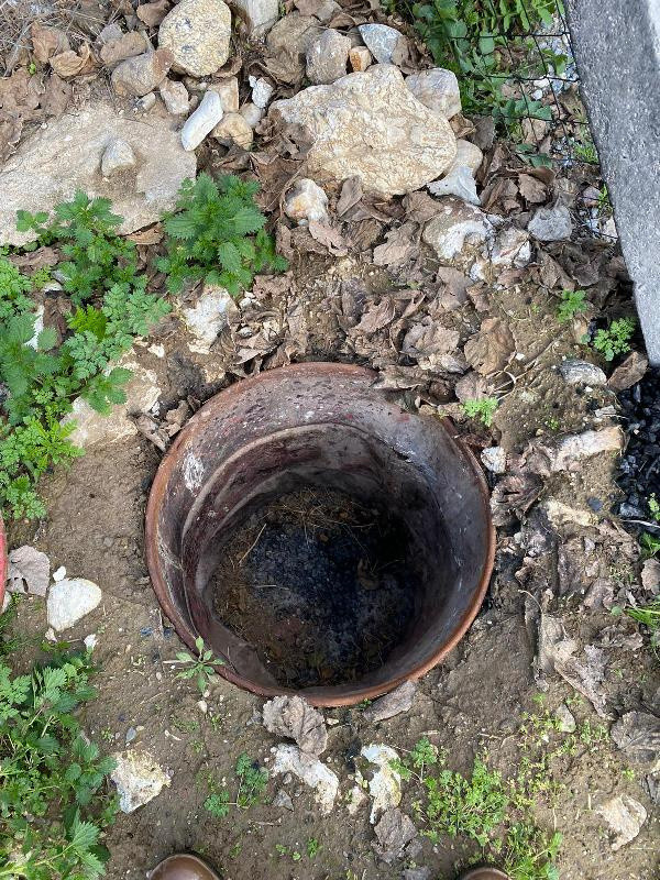 Aydın'da bahçede bakım yaparken buldu 1922'den kalmış! Şaşkına döndü - Resim: 1