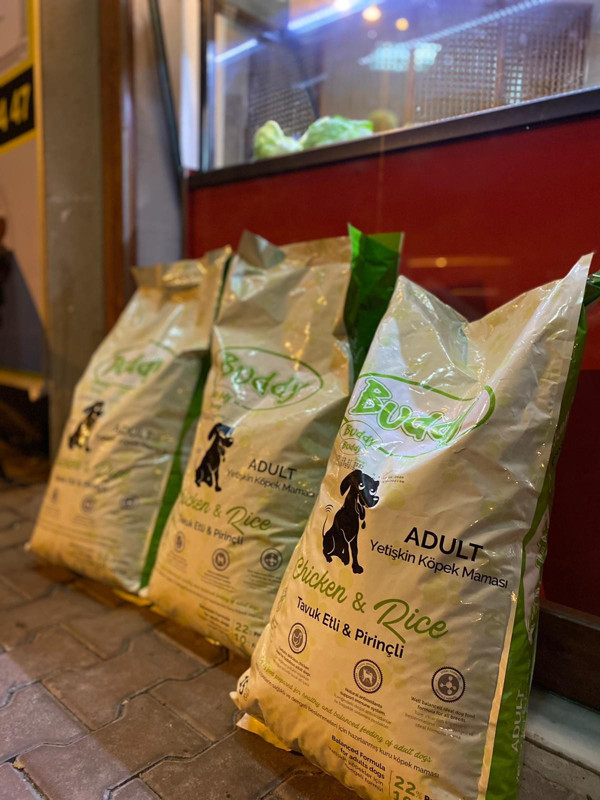 Kastamonu'da yazıyı gören para atmadan geçemiyor! Alkışlanacak hareket - Resim: 0