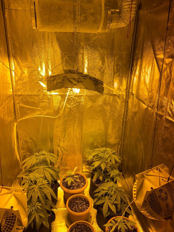 Tekirdağ'da pes dedirten düzenek! İçinde bakın ne yapıyorlarmış - Resim: 0