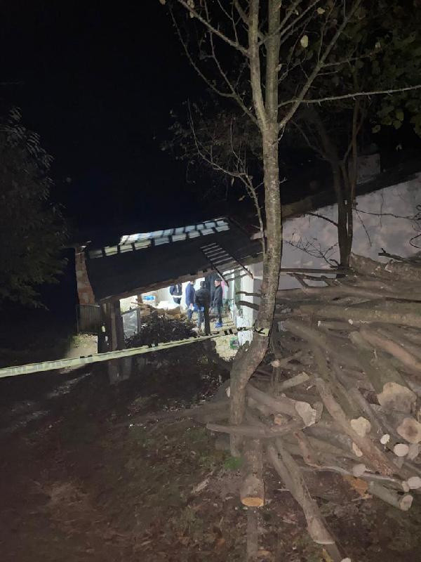 Domuz bağıyla öldürülmüştü! Ordu'da kendilerini yaşlı kadına bakın nasıl tanıtmışlar - Resim: 1