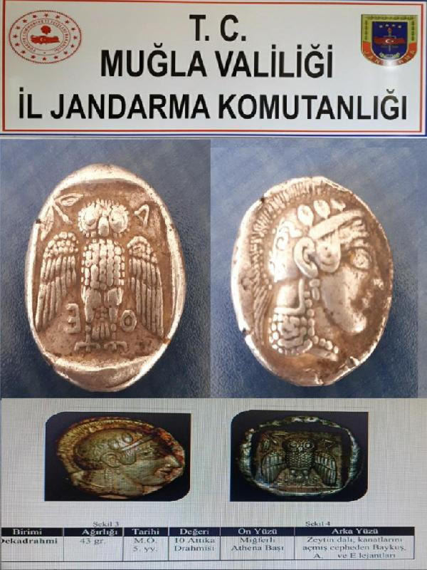 Dünyada sadece 42 tane var! Muğla'da operasyonda bulundu - Resim: 0