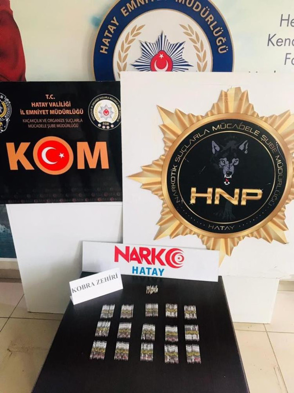 Dünyanın en ölümcül zehri Hatay'da ele geçirildi! - Resim: 0