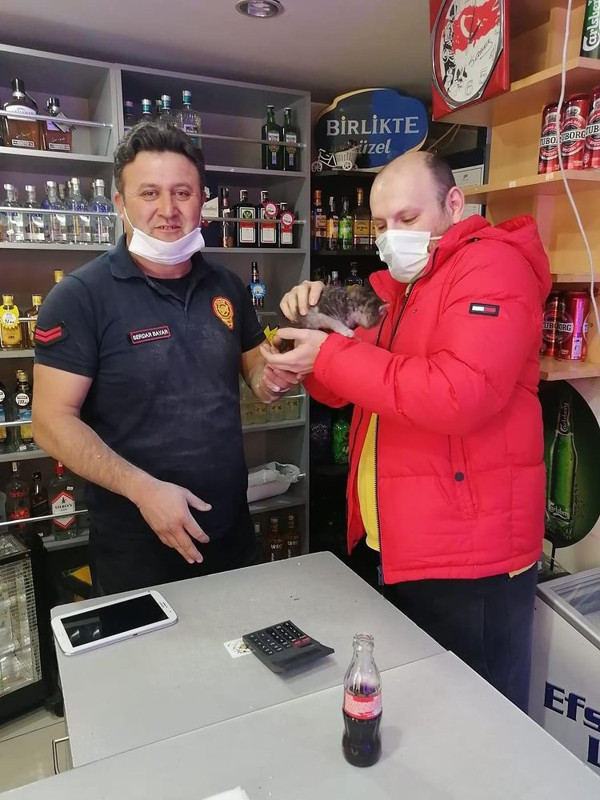 Kocaeli'de duvardan gelen gizemli sesin kaynağı bakın ne çıktı - Resim: 0