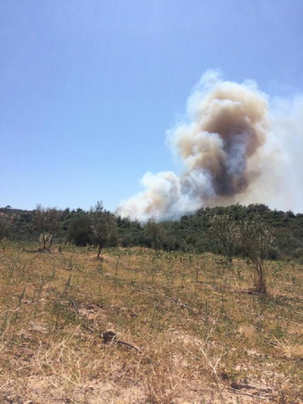 Çanakkale’de aynı bölgede 6’ncı orman yangını - Resim: 0