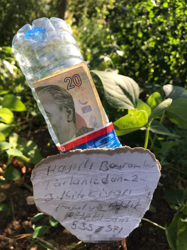 Bilecik'te tarladaki notu görünce şaştı kaldı! 'İnsanlık ölmemiş' dedirtti - Resim: 0