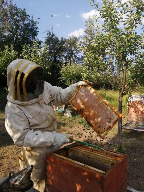 Yozgat'ta hobi olarak başladı! Şimdi kilosunu 300 TL'ye satıyor - Resim: 0
