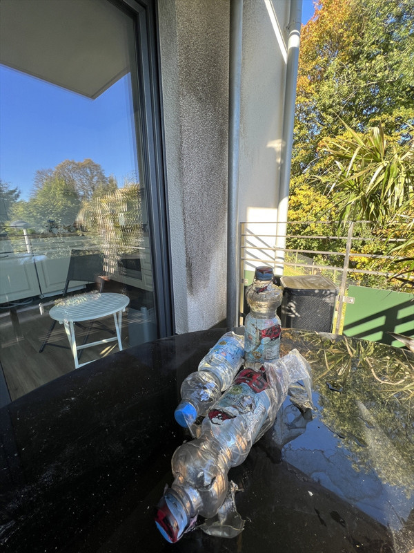 Almanya'da Türk aile ölümden döndü! Skandal karar şok etti: 2 saat sonra... - Resim: 1