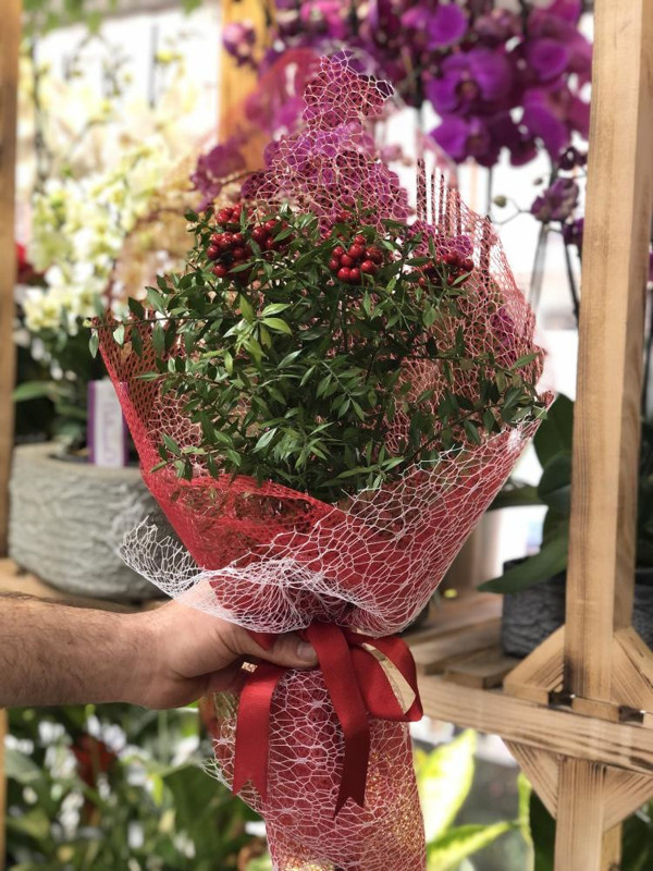 Yılbaşı denilince akıllara ilk o geliyor! 45 TL'ye satılıyor: Stoklarımızı yaptık - Resim: 0