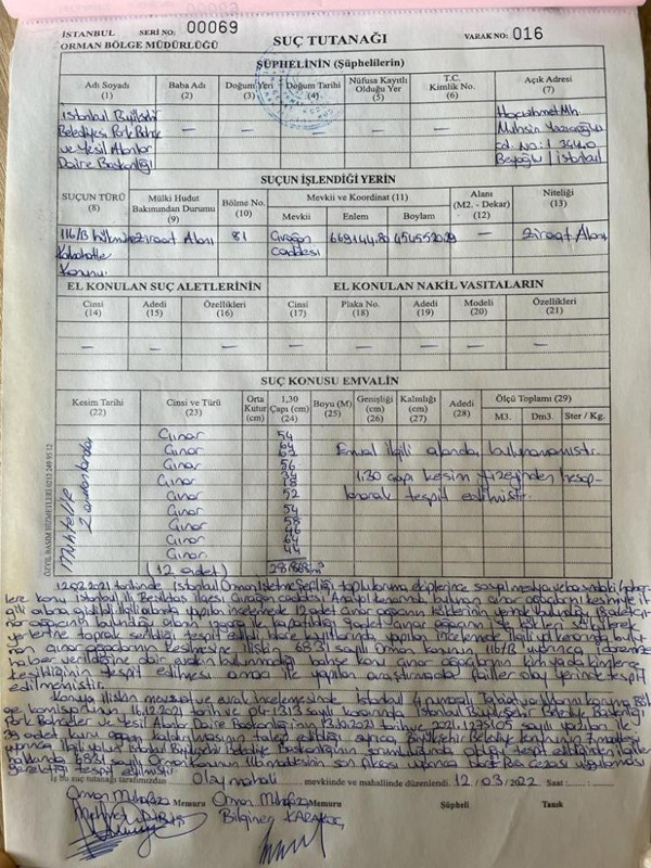 Çırağan Caddesi’nde 112 ağacı kesen İBB'ye bakın ne kadar ceza verildi - Resim: 0