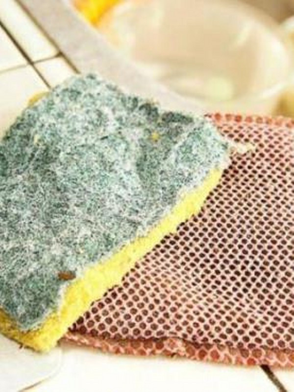 Prof. Dr. Canan Karatay zehir saçan o eşyalar hakkında uyardı... ''Hanımlar fıttırdı'' - Resim: 1