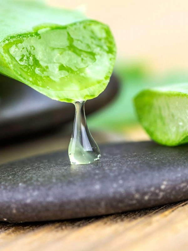 Aloe vera bitkisinin mucizelerine inanamayacaksınız aloe vera bitkisinin kullanım alanları... - Resim: 1