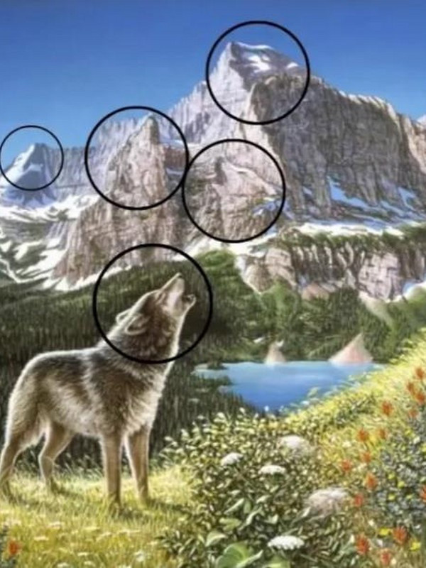 Resimdeki 5 kurdu sadece zeki insanlar görebiliyor! - Resim: 1