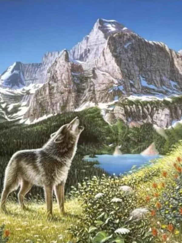 Resimdeki 5 kurdu sadece zeki insanlar görebiliyor! - Resim: 0