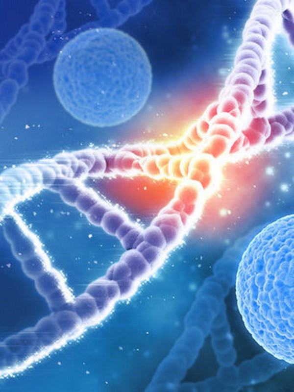 Kanserin çaresi için yeni gelişmeler var kanser hücrelerini durdurmak… - Resim: 1