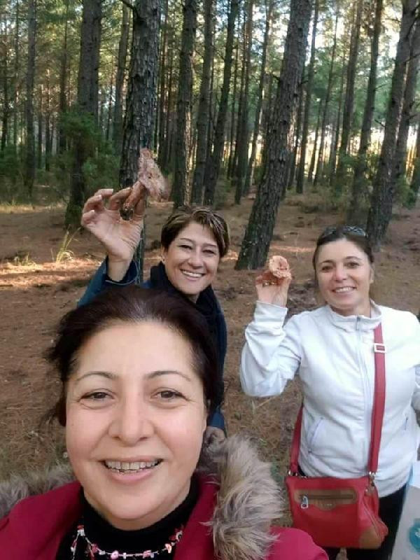 Çıntar mantarı müthiş para ediyor! Kilosu bakın kaç lira - Resim: 2