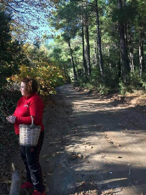 Çıntar mantarı müthiş para ediyor! Kilosu bakın kaç lira - Resim: 4