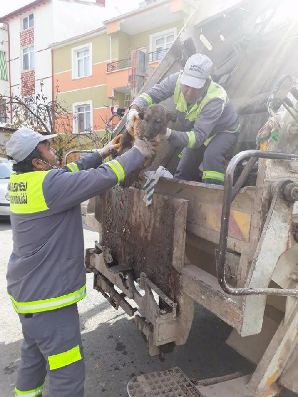 İnsalıktan utandıran haber! Eğer fark edilmeseydi... - Resim: 2