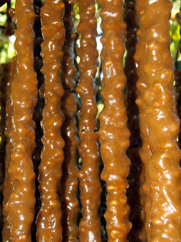 Kilosu 70 TL'den sunulan 300 yıllık tatlı: Kedi bacağı - Resim: 1