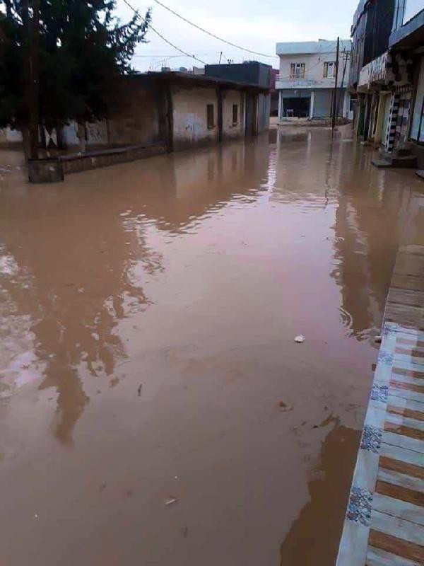 Mardin'de sağanak; evleri ve tarım arazilerini su bastı - Resim: 1
