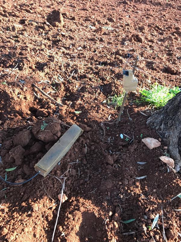 İnlerini bombalarla donatmışlar adım başı tuzak - Resim: 3