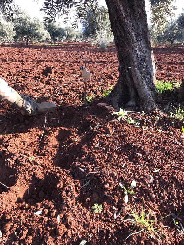 İnlerini bombalarla donatmışlar adım başı tuzak - Resim: 4