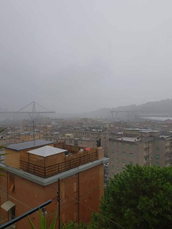 Devasa asma köprü çöktü onlarca ölü var! İşte olay yerinden ilk kareler - Resim: 3