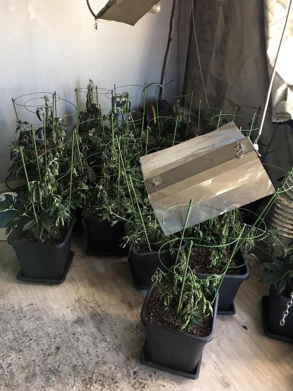 Evdeki yangın, üniversite öğrencisinin uyuşturucu üretimini ortaya çıkardı - Resim: 3