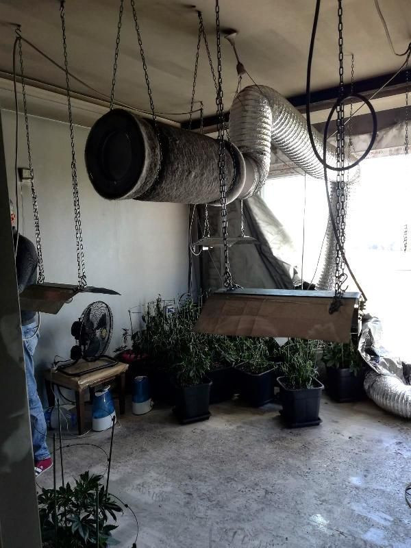 Evdeki yangın, üniversite öğrencisinin uyuşturucu üretimini ortaya çıkardı - Resim: 2