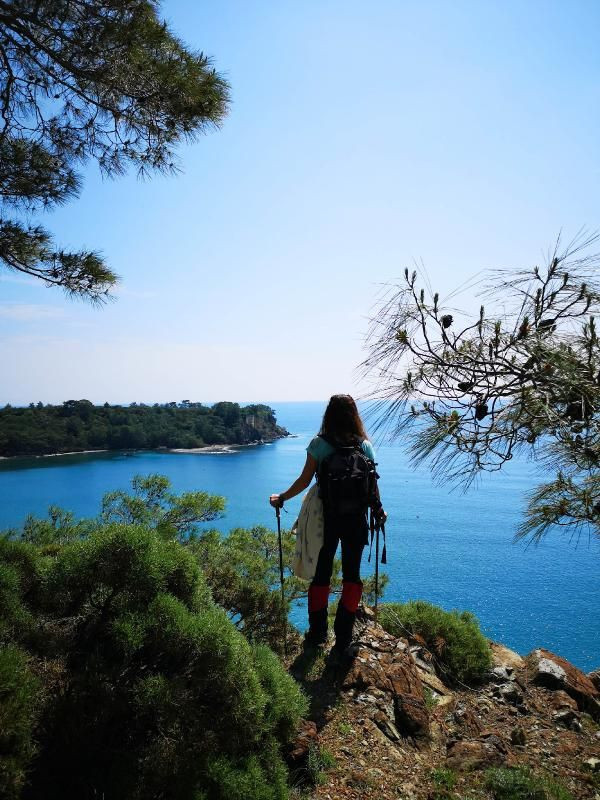 Doğaseverler keşfetti... İlgi odağı oldu! - Resim: 2