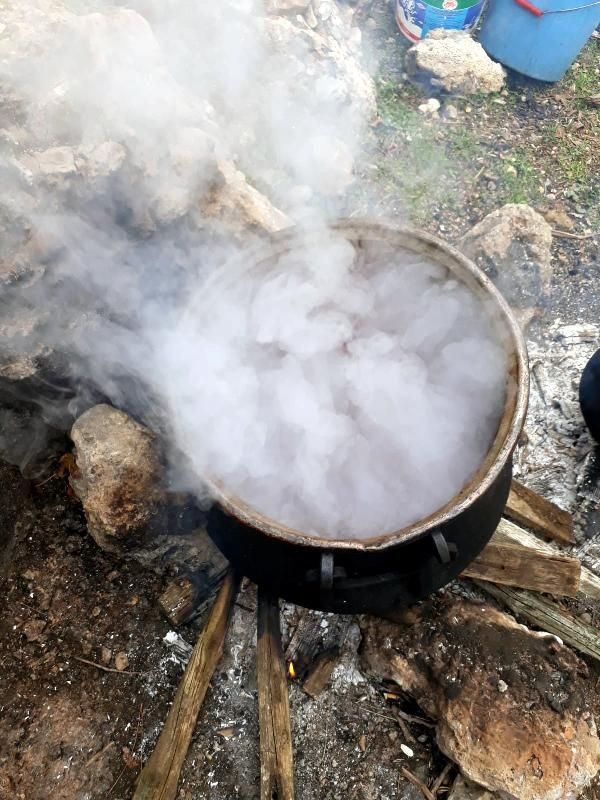 Dağdan toplayıp satıyor Adana'da siparişlere yetişemiyor! Fiyatı bakın ne kadar - Resim: 4