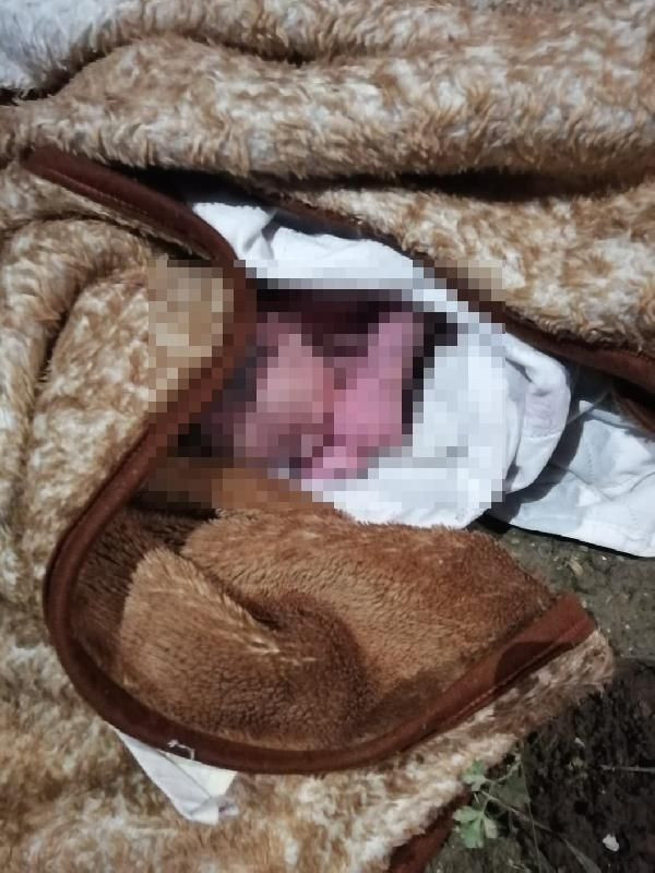 Bağcılar'da bahçede yeni doğmuş bebek bulundu! Polis bebeği bırakanları arıyor - Resim: 2