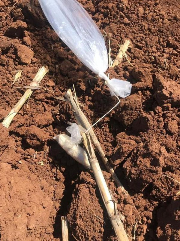 Şanlıurfa'da bir tarlaya uçan balonun içinde mühimmat düştü - Resim: 3