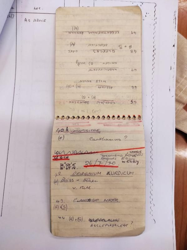 Saraçoğlu: İngilizlerden geri alınan ata tohumları paha biçilmez - Resim: 3