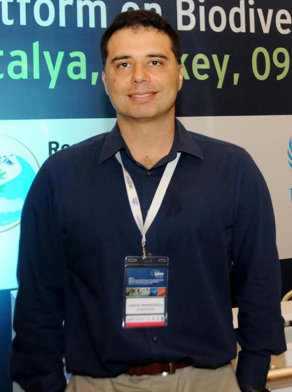 Koronavirüsü insanlara bulaştıran hayvanlardandı! Türkiye'de ilk kez görüldü - Resim: 0