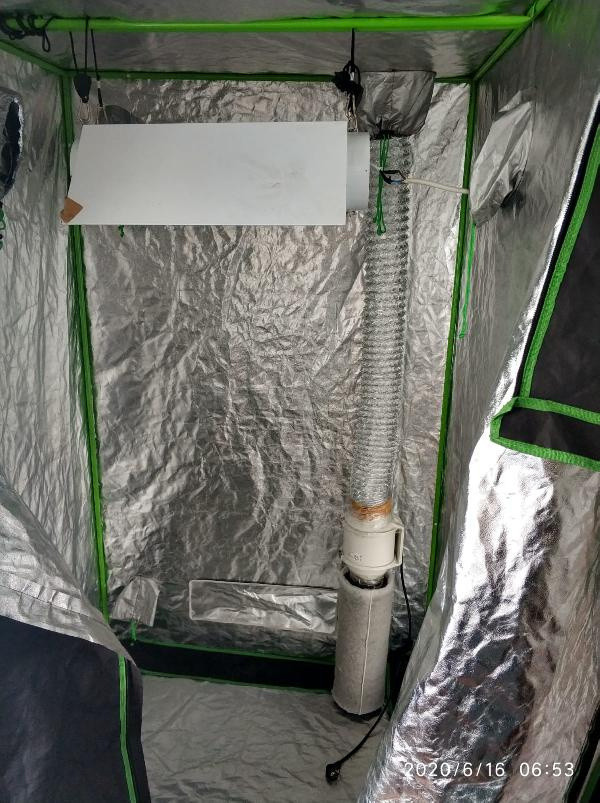 İstanbul'da 39 ilçede eş zamanlı operasyon: 248 gözaltı - Resim: 2