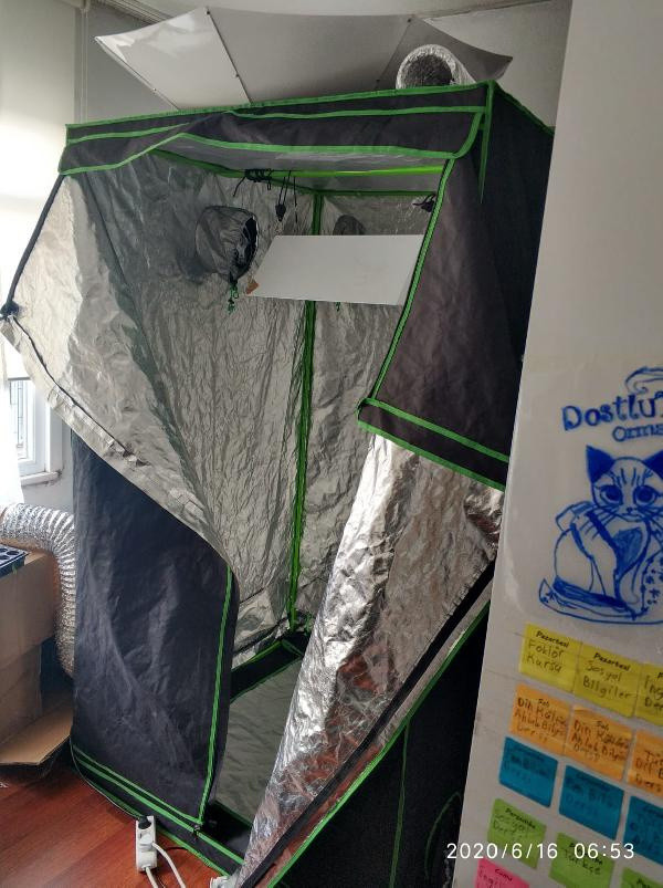 İstanbul'da 39 ilçede eş zamanlı operasyon: 248 gözaltı - Resim: 1